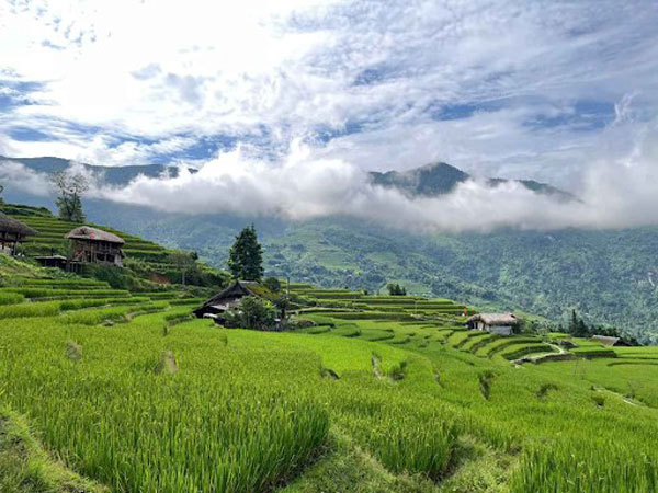 Du lịch Hà Giang tháng nào đẹp nhất? Chọn mùa theo trải nghiệm