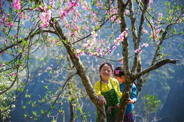 Hà Giang tháng 1 có gì đẹp? Gợi ý lịch trình và kinh nghiệm đi đầu năm