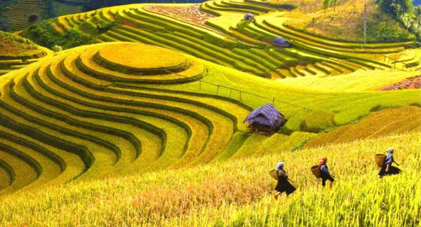 Đi Hà Giang tháng nào đẹp nhất?