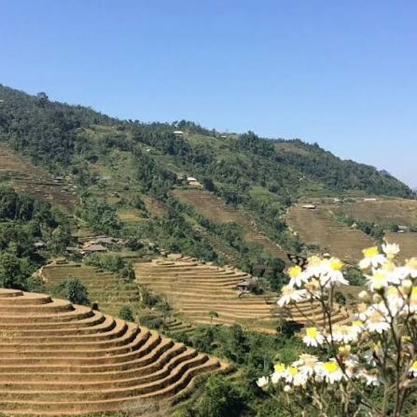 Hà Giang tháng 9 có gì đẹp?