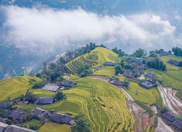 Hoàng Su Phì: Điểm đến cho người yêu ruộng bậc thang Những điểm du lịch Hà Giang đẹp và đáng trải nghiệm nhất
